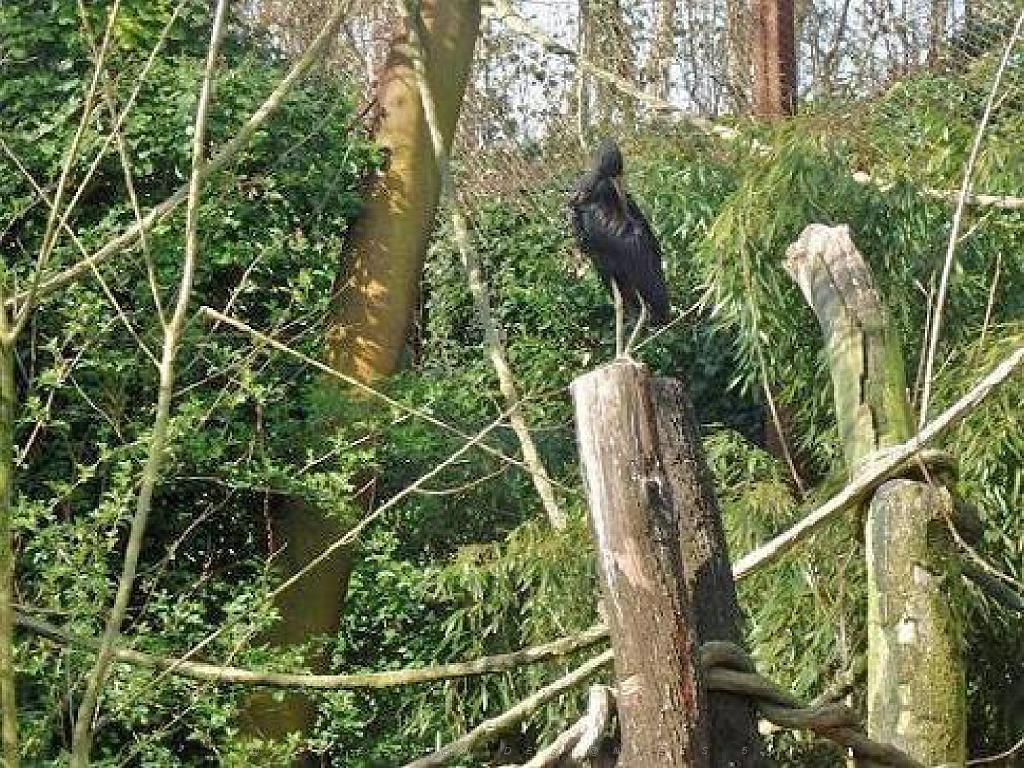 149 BIO PARC DE DOUE LA FONTAINE 1- 2016_000066.jpg